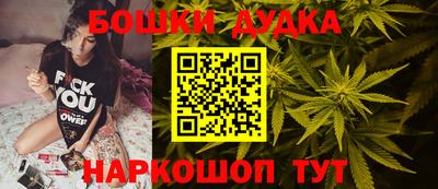 индика Тверь