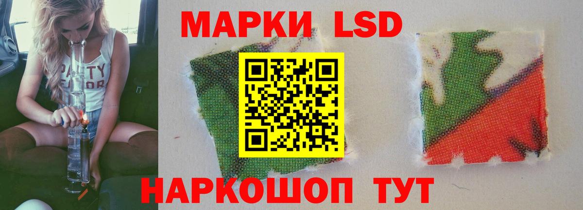   сайт  ЛСД экстази кислота  Новозыбков  Вход с VPN  ЛСД экстази кислота 