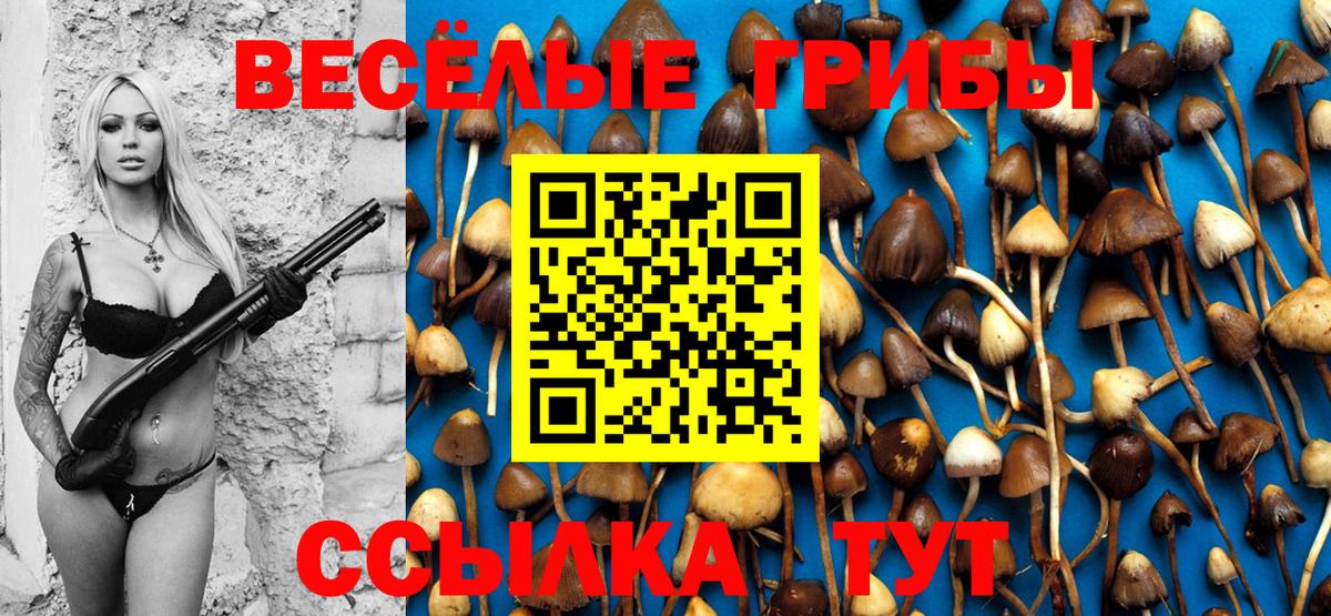 Псилоцибиновые грибы GOLDEN TEACHER Новозыбков