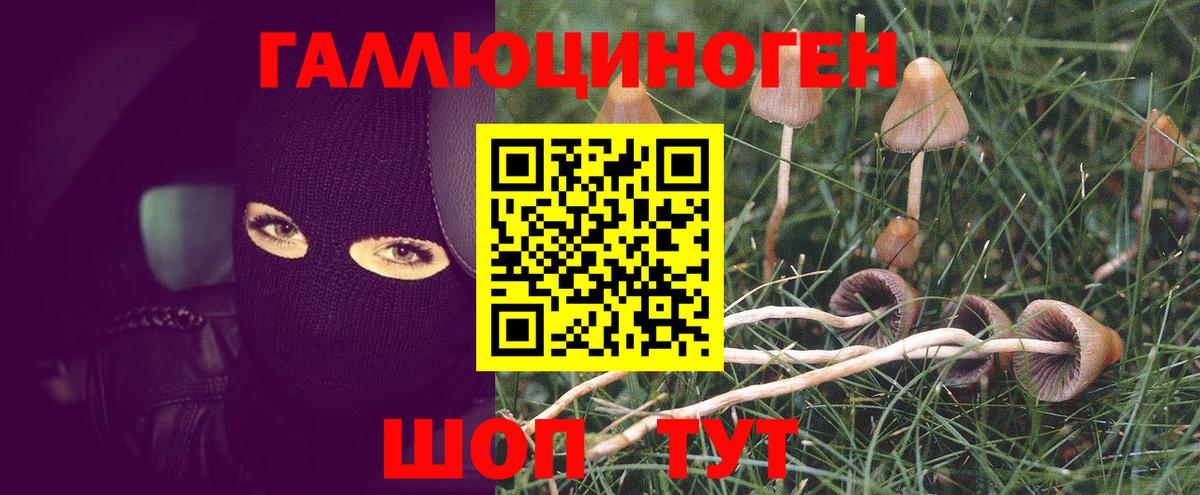 Галлюциногенные грибы Psilocybine cubensis  Вход с VPN  Галлюциногенные грибы Magic Shrooms  Новозыбков 